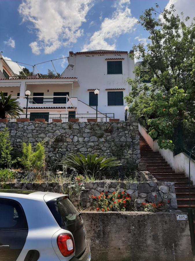 Arcomagno Guest House San Nicola Arcella Ngoại thất bức ảnh